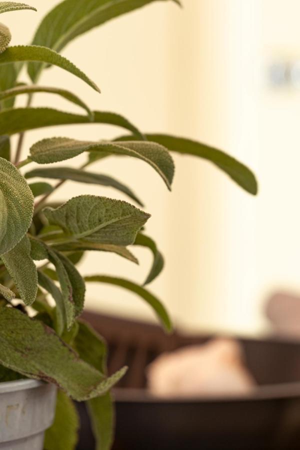 Appartementen Zer En Loft In Centrum بيرشِن المظهر الخارجي الصورة